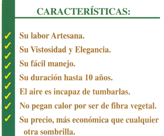 Caracter�sticas